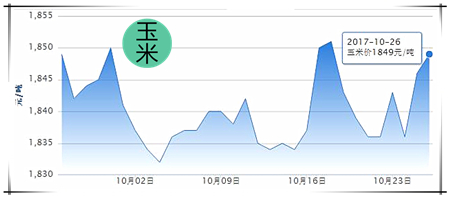 10月26日猪评：市场供需博弈 猪价：我也不知该涨还是跌