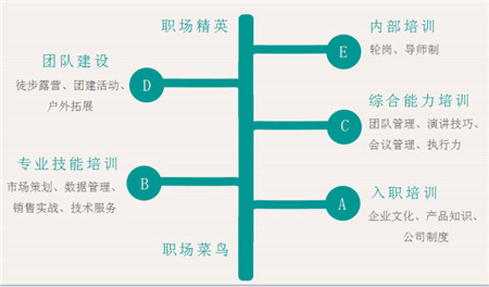 恒丰强2018年校招正式启动！