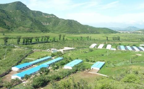 雏鹰农牧发布2017年三季报，报告期内，公司实现营业收入37.35亿元，同比下降12.54%;净利润为6.49亿元，同比下降8.2127%;每股收益为0.21元。