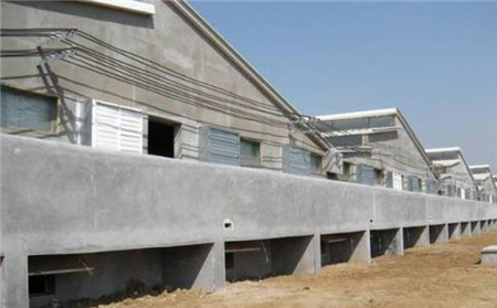 60天内这些地方的猪场必须得拆了,以后养猪要当心了!