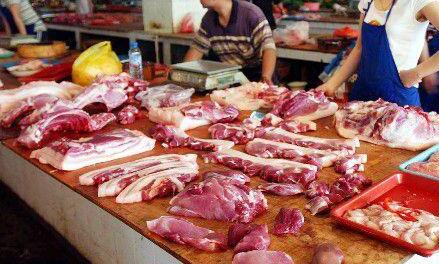 中国饲料行业信息网