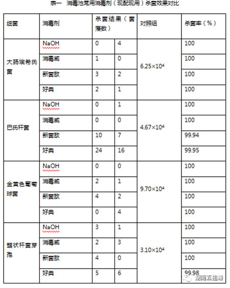 养殖场消毒池常用消毒剂杀菌效能对比