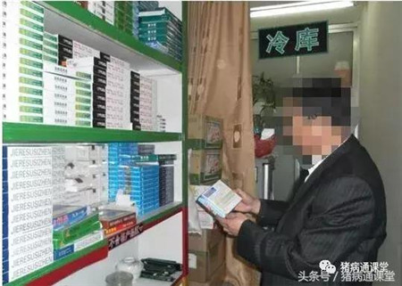 猪场常备哪些药？养殖户要知道！
