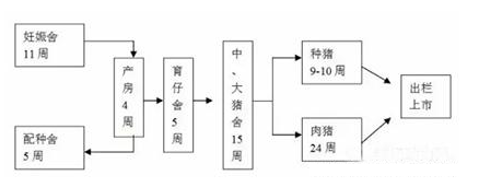  规模猪场建设，你有没有忽视这些细节呢？