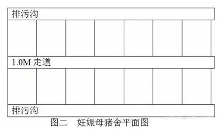 规模猪场建设，你有没有忽视这些细节呢？