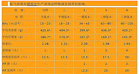 猪场选址也要讲“风水”,通风向阳、清洁饮水能减少猪群的发病率