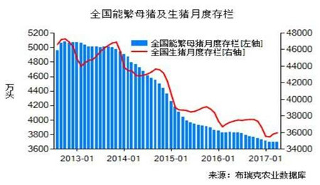 继上周末小幅上涨后，本周全国猪价震荡下跌，预计短期猪价持续震荡。由于前期猪价持续下跌，养殖户抵触心理增强