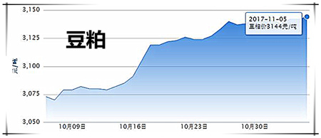 11月5日猪评：需求旺季未到 区间内窄幅波动格局难打破