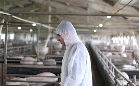 70%底层兽医用药不合理，养殖人该怎么办呢？