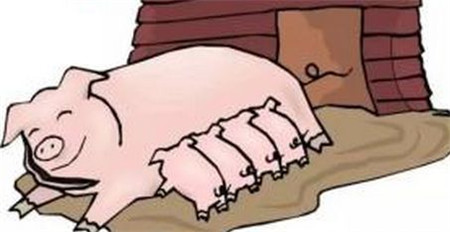 进入需求旺季 猪肉价格上涨幅度不会过大