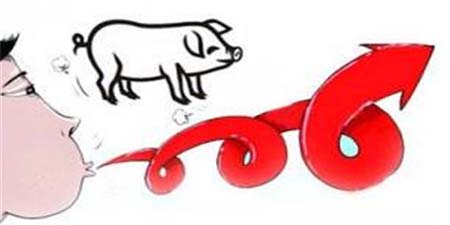 各地区生猪价格震荡微跌 出栏意愿恐成最大阻力