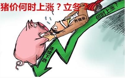 受本轮冷空气影响，中部、中东部等地区降温明显，全国生猪平均价格小幅回升。