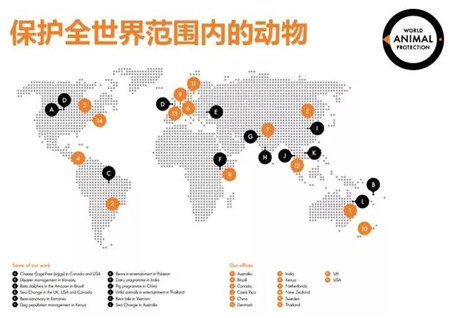 孙忠超 世界动物保护协会