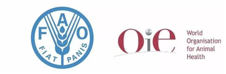 中国兽医协会动物福利分会秘书长;