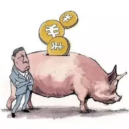 且涨且珍惜!生猪价格走势上涨的动能所剩无几