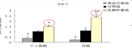 益生菌有效提高新生仔猪肠道免疫功能