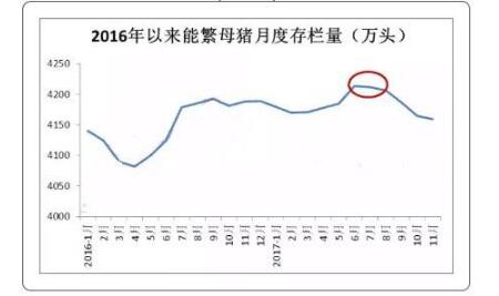 猪价本该涨，却反跌，到底是什么在操控猪价？