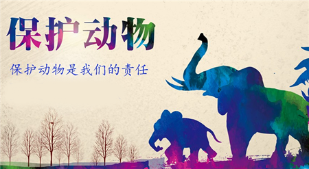 中国首部动物福利行业标准通过专家审查，鼓励合理饲养动物