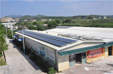 散养户以后这样养猪!农业部等6部委也支持