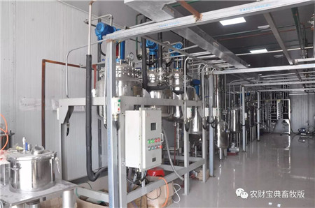 散养户以后这样养猪!农业部等6部委也支持