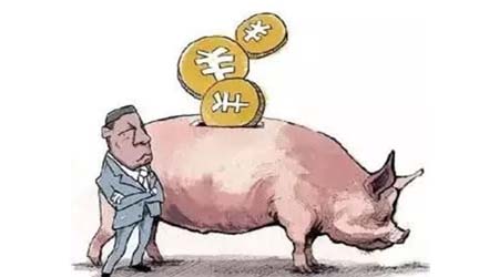 屠企透露降价意图 养猪户切勿过度出栏