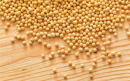 大豆又有新补贴了 明年改种大豆怎么样？