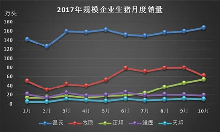 规模企业10月生猪出栏量普遍下降，猪价该涨了吗
