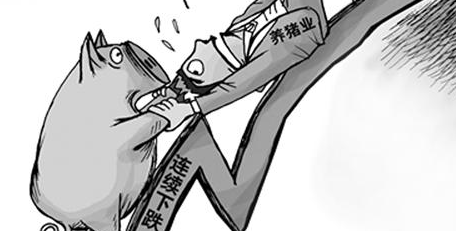 猪价瞬息万变！2017年实则有人欢喜有人忧... ...