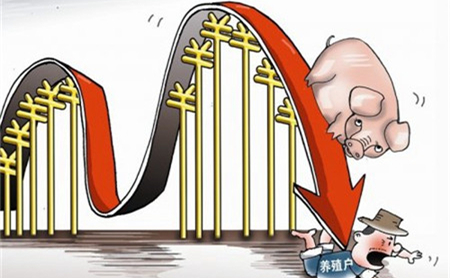 本轮猪周期是否结束？
