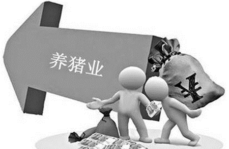 养猪业出现前所未有的发展局面，具体变化有这些……
