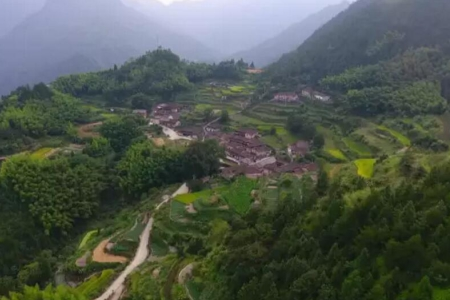 “养猪村”转变为“甜蜜古村” 青田小村庄夜色撩人