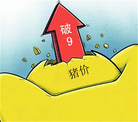 消费好转,10日东北、西南猪价都在涨,这是要开涨的节奏?