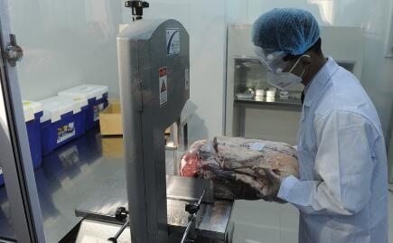 近段时间,猪价基本趋稳。在消费淡季,一切都看似风平浪静,然而,猪价潜在的影响因素却暗潮涌动。