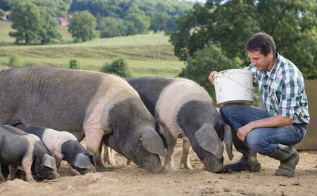 张德权：预计30年后中国市场将以冷却肉、冰鲜肉为主