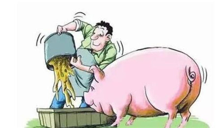 养猪通 