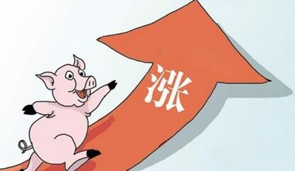 冷空气吹涨猪价？川普带来猪肉大单！饲料、兽药将涨价？