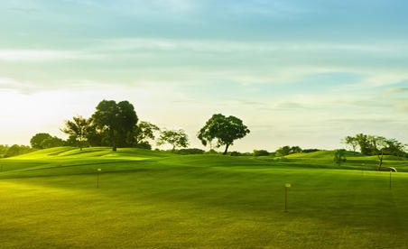 中原熟,天下足。“三秋”时节,千百年来周而复始的秋收秋种又在河南省1.22亿亩耕地上渐次展开。机声隆隆,大型现代农业机械穿梭忙碌;硕果累累,…