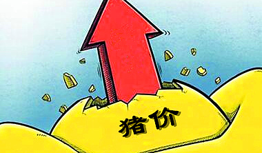 12月份上涨大势已定,只是仍欠“消费”东风