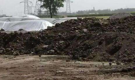 近年,在政策支持拉动下,中国畜禽粪便有机肥已然进入了快速爆发期。除了政策拉动之外,更源于庞大的畜禽粪便产量带来的环境压力。