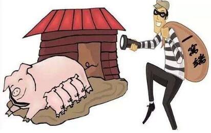 广西宾阳:兄弟俩深夜“潜伏”邻村猪圈 盗走12头猪崽