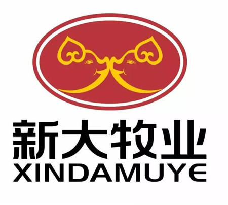 谨以此文庆祝新大LOGO成功升级！