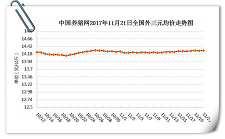 11月21日猪评：猪价上涨势在必得？别急！静待需求提振