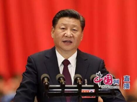 十九大报告引领中国养猪业，看好未来养猪业！