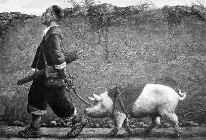 明年养猪能不能赚钱?看了本文你就知道了!