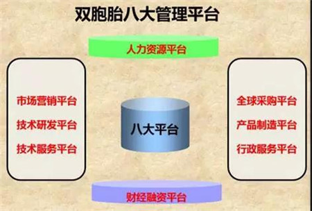 2017年是双胞胎不平凡的一年，在这一年里，双胞胎总销量突破900万吨，直销突破150万吨，母猪料突破80万吨，强化大猪料月销量突破10万吨平台