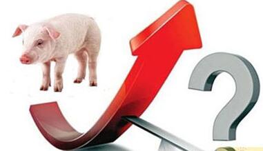 温氏等大佬纷纷发力生鲜门店 此举能否摆脱“猪周期”?