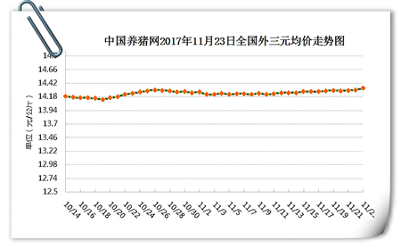 11月23日猪评：涨势持续但空间不大 短期微幅涨跌调整为主