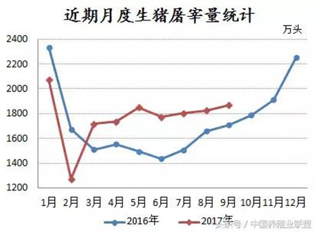 猪价想要破“9”？还得先破“8”！