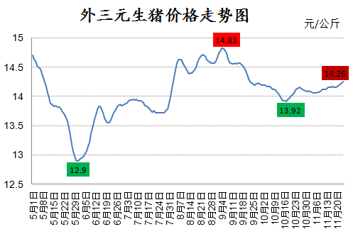 12月猪价上涨成定局，两大阻力恐成猪价不确定因素！