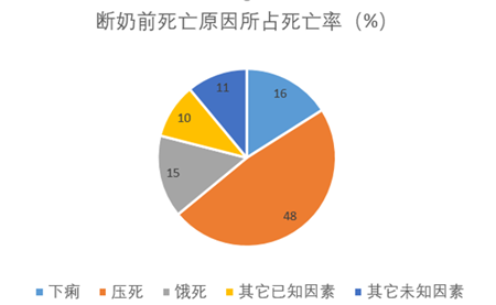 产房管理之要命的7天！